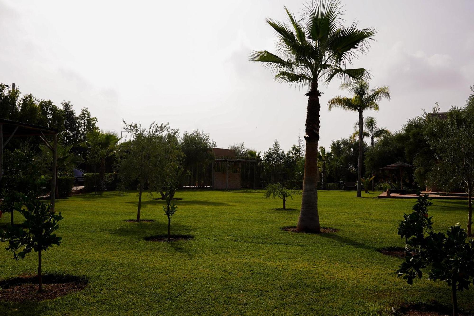 Dar Fatima Tamazouzt Hotel Tamazouzte  Exterior photo
